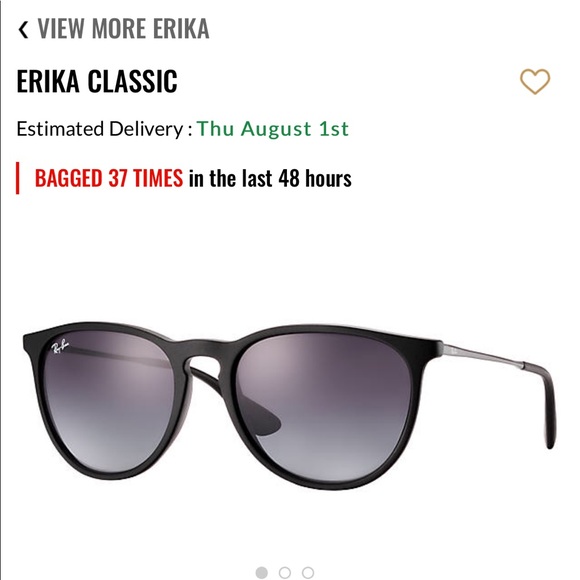 Ray Ban Erika Classic in Black with Ray Ban case